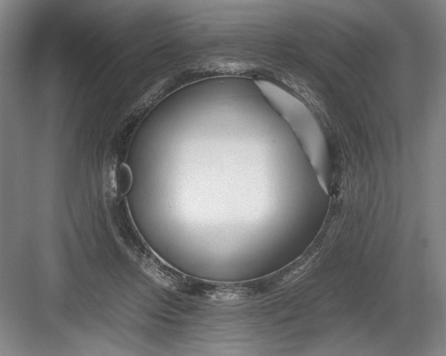 X0000082950358200702152246