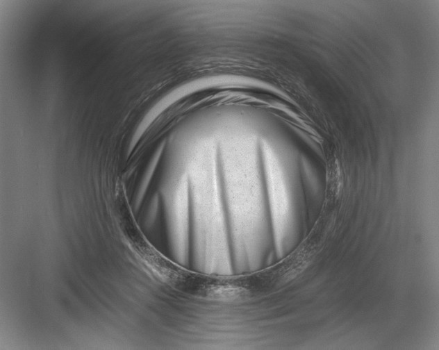 X0000082950360200702152246