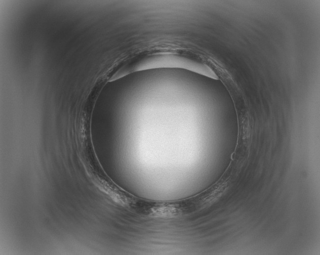 X0000082950362200702152246