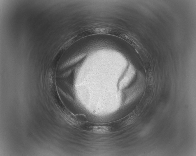 X0000082950363200702152246