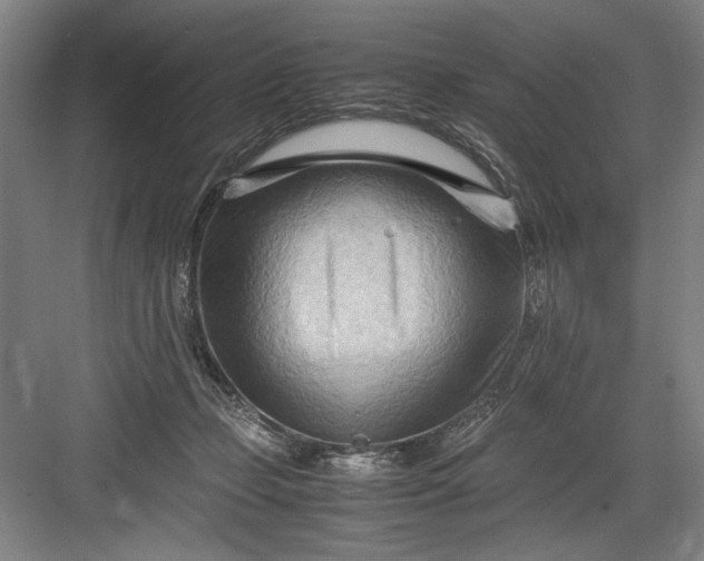 X0000082950365200702152246