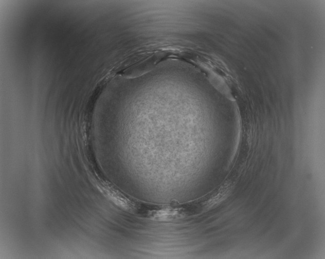 X0000082950366200702152246