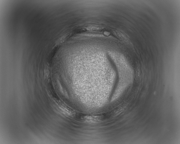 X0000082950367200702152246