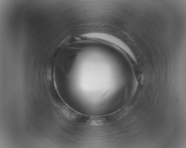 X0000082950368200702152246