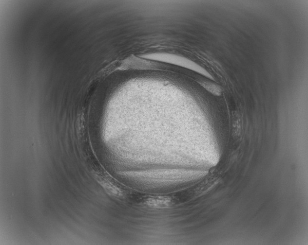 X0000082950369200702152246