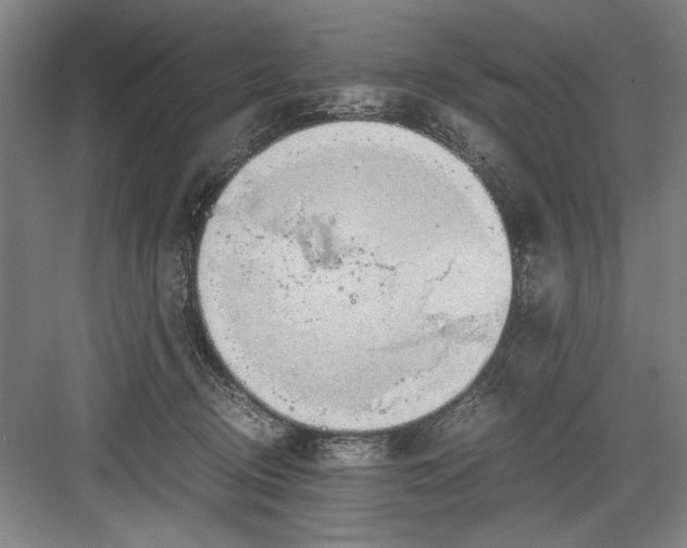 X0000082950370200702152246