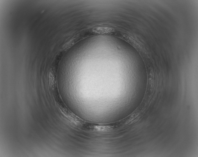 X0000082950371200702152246