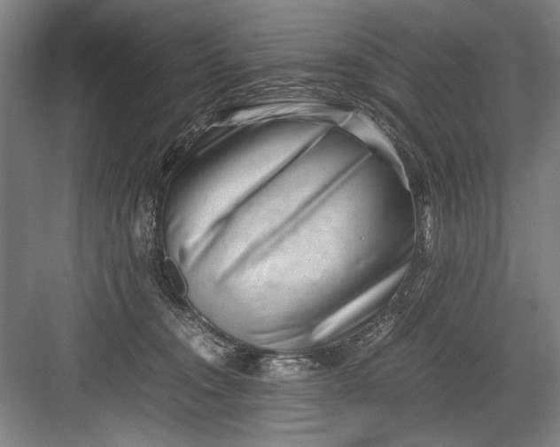 X0000082950372200702152246