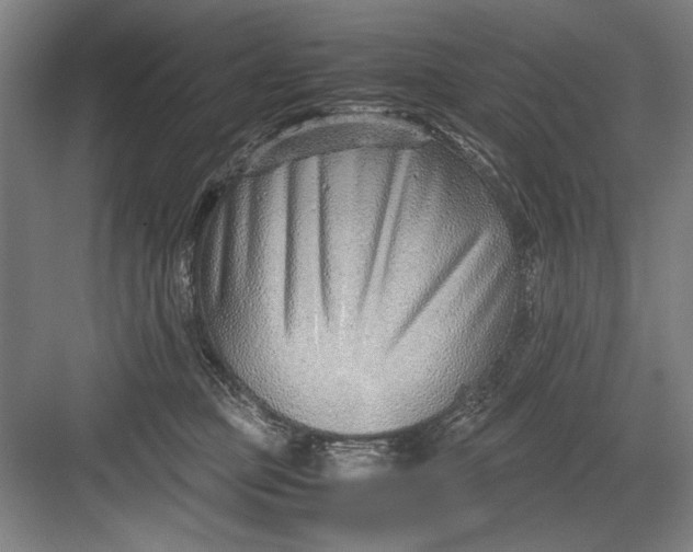 X0000082950373200702152246