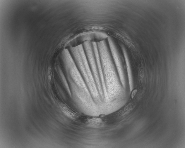 X0000082950374200702152246