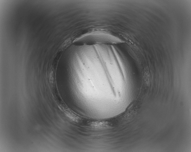 X0000082950375200702152246