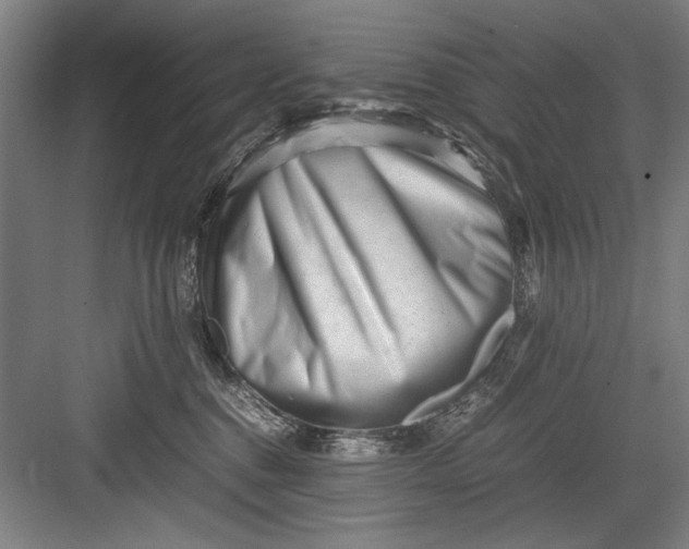 X0000082950376200702152246