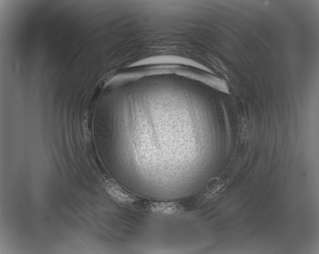 X0000082950377200702152246