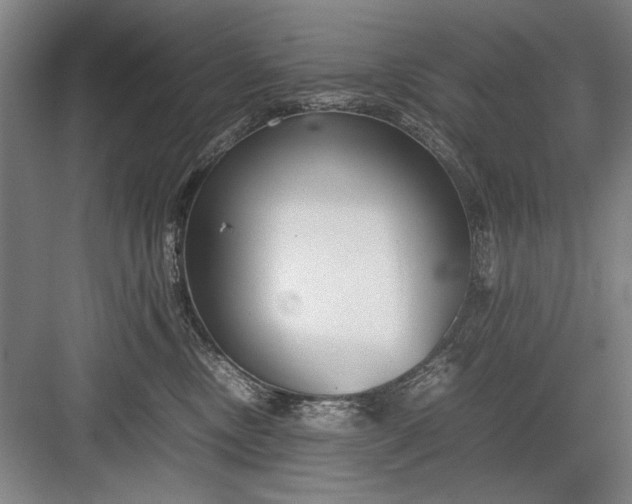 X0000082950378200702152246