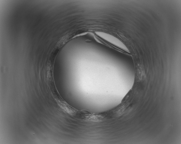 X0000082950379200702152246