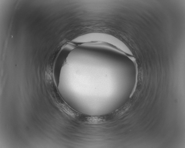 X0000082950380200702152246