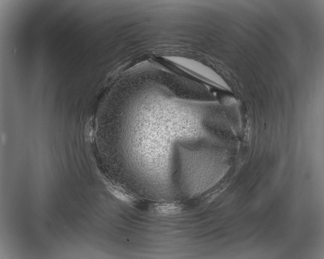 X0000082950383200702152246