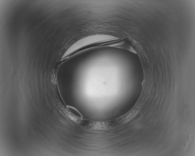 X0000082950384200702152246