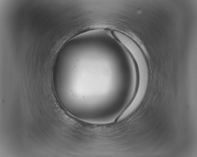 X0000082950385200702152245