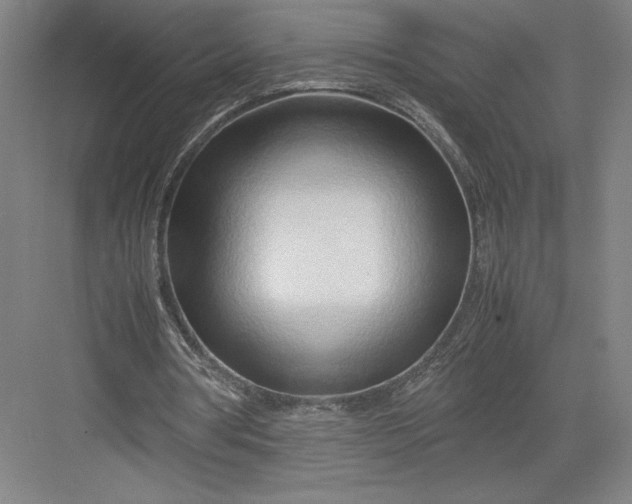 X0000082950386200702152245