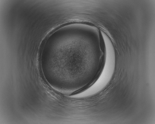 X0000082950387200702152245