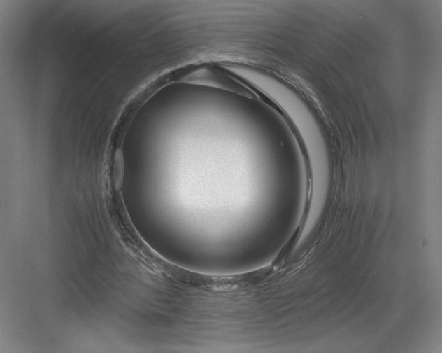 X0000082950388200702152245