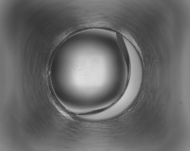 X0000082950389200702152245