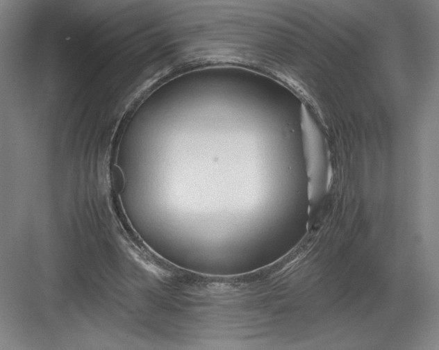 X0000082950390200702152245