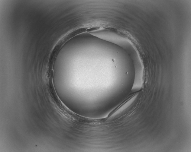 X0000082950392200702152245