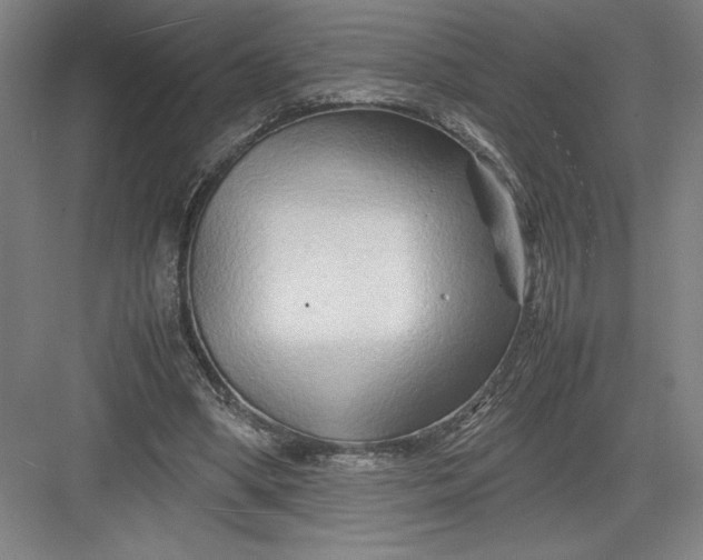 X0000082950394200702152245