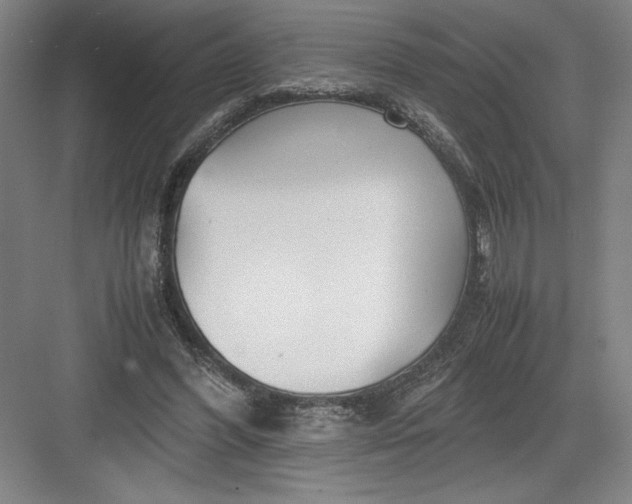 X0000082950396200702152245