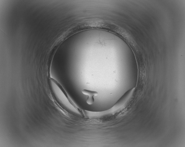 X0000082950397200702152245