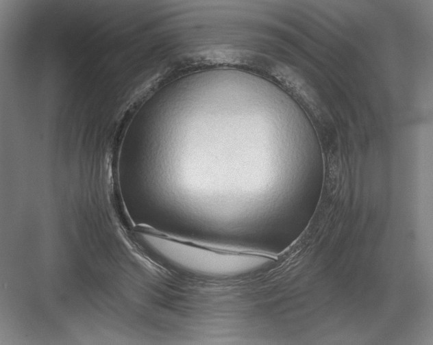 X0000082950398200702152245