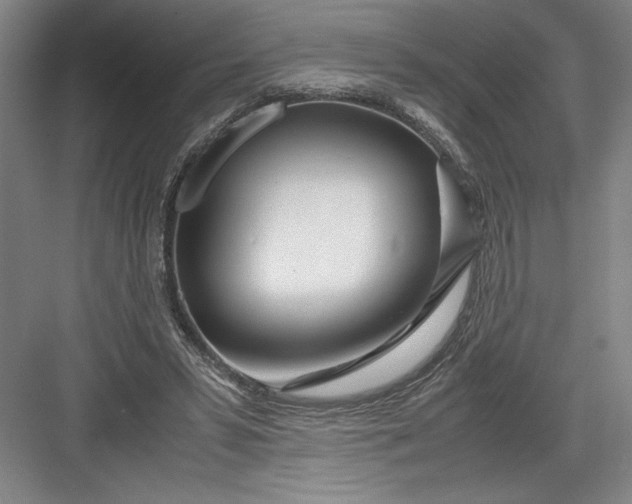 X0000082950399200702152245