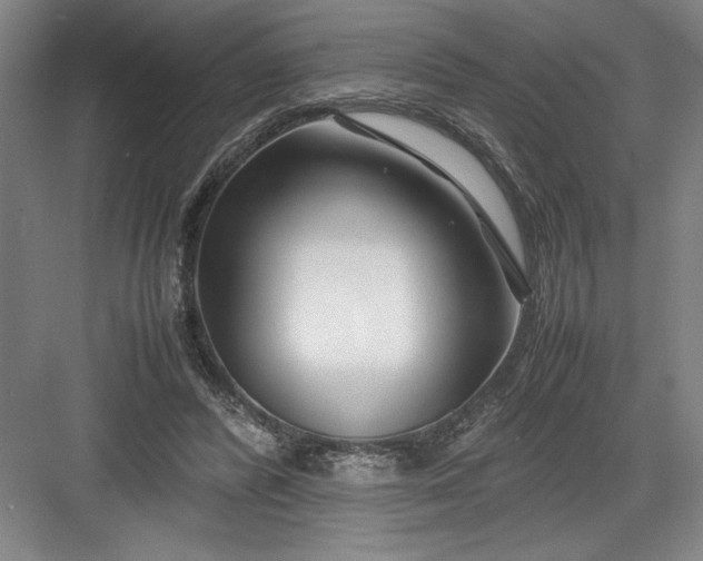 X0000082950400200702152245