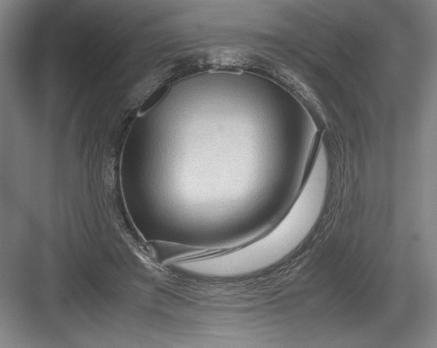 X0000082950401200702152245