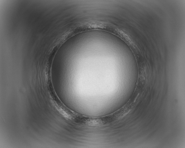 X0000082950402200702152245