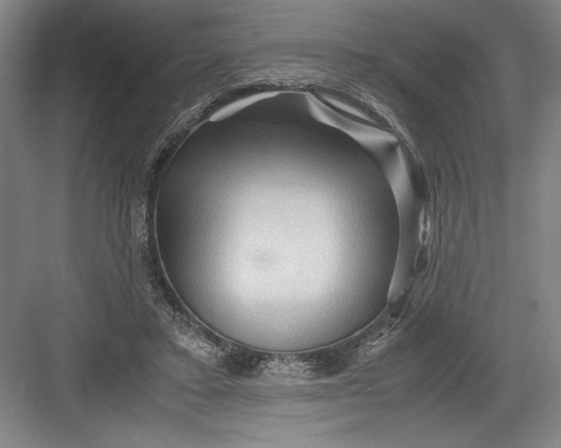 X0000082950403200702152245