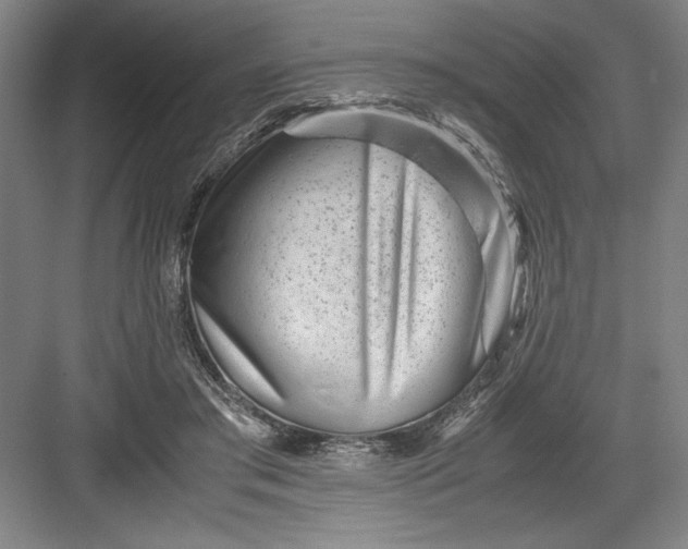 X0000082950405200702152245