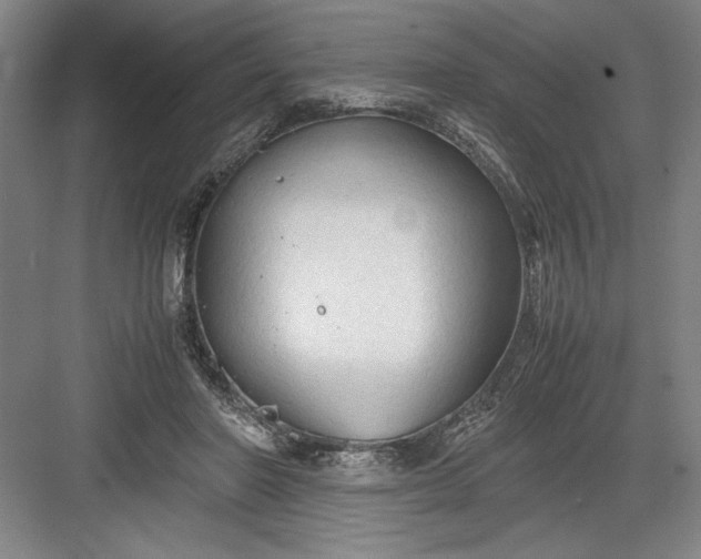 X0000082950406200702152245