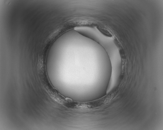 X0000082950407200702152245