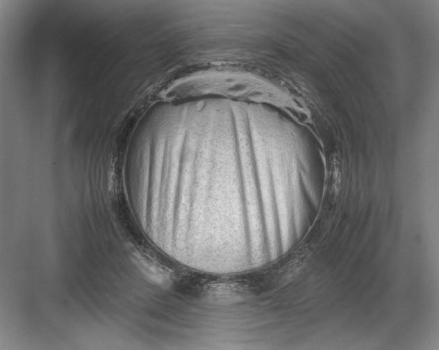 X0000082950408200702152245