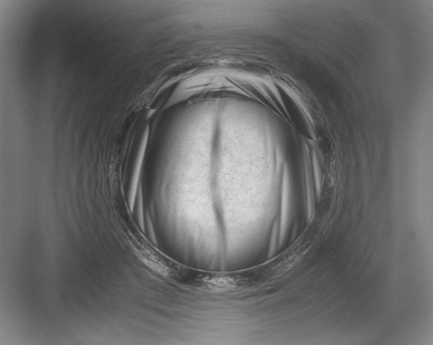 X0000082950409200702152245