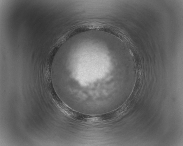 X0000082950411200702152245