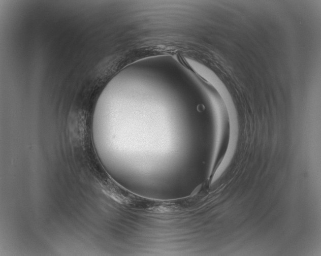 X0000082950412200702152245