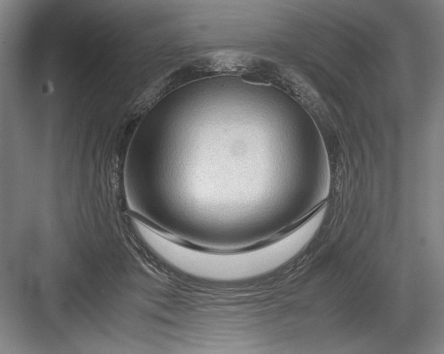 X0000082950413200702152245