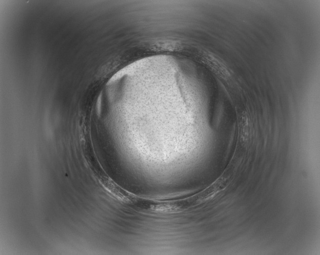 X0000082950414200702152245