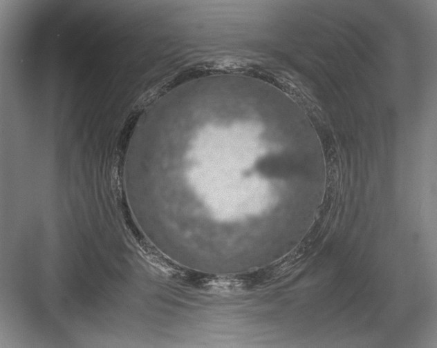 X0000082950415200702152245