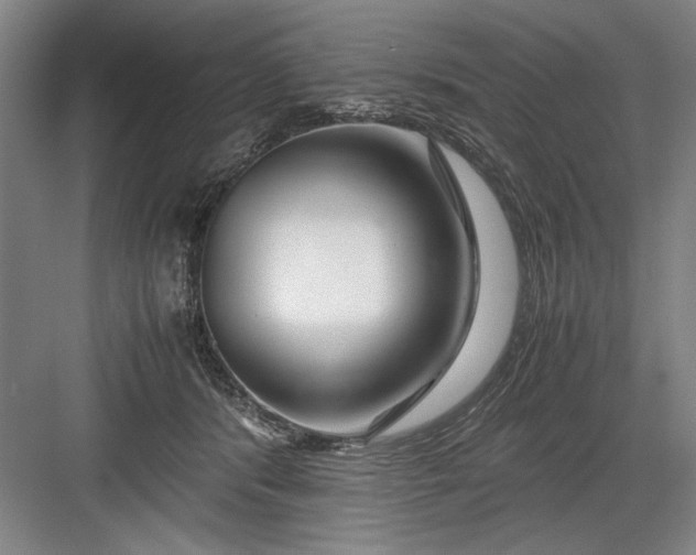 X0000082950416200702152245