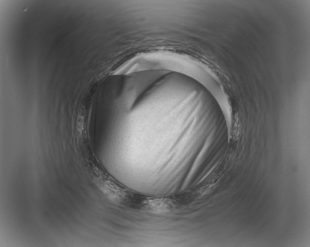 X0000082950417200702152245